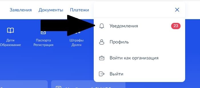 Меню уведомлений Госуслуг