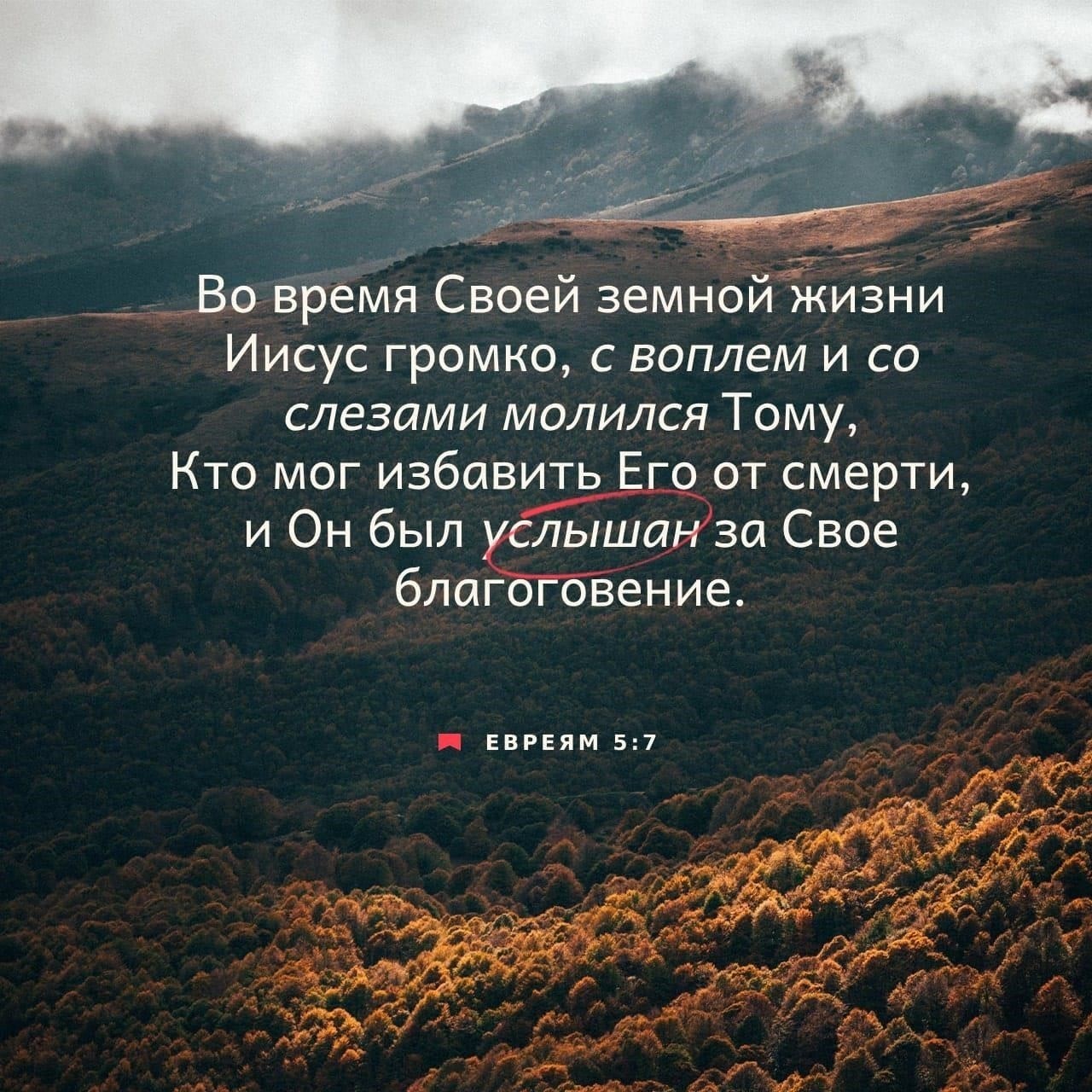 Совместное посвящение: Соберите свою семью в молитве, укрепляя веру домочадцев. Пусть каждый голос возвысится в унисон против приливов и отливов войны.