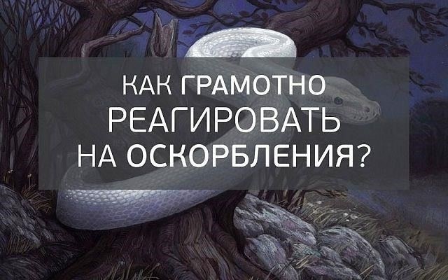 Отвечать логикой: Как использовать разум, чтобы обезвредить оскорбления